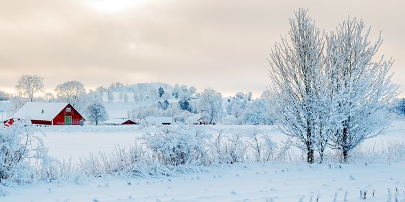 Tips voor winterse foto’s