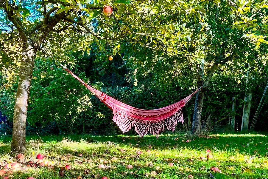 Een hangmat hangt aan een appelboom in de tuin, symbool voor albelli's tips voor een rustgevende vakantie thuis.