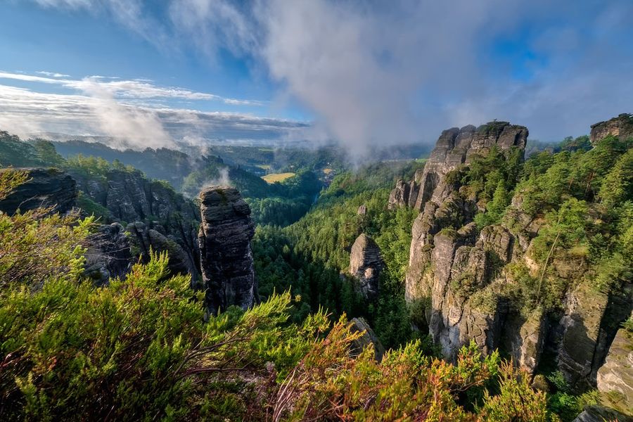 Bizarre zandstenen pilaren steken boven mistige groene bossen uit bij de historische Basteibrug in Nationaal Park Saksisch Zwitserland in Duitsland, een van de beste natuurparken van Duitsland uit albelli's gids.