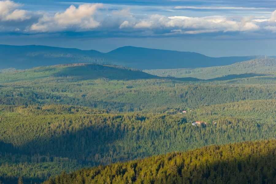 Eindeloze dennenbossen en gletsjermeren strekken zich uit over Nationaal Park Šumava in Tsjechië, vaak het 'groene dak van Europa' genoemd en een van de beste nationale parken van Tsjechië uit albelli's gids.