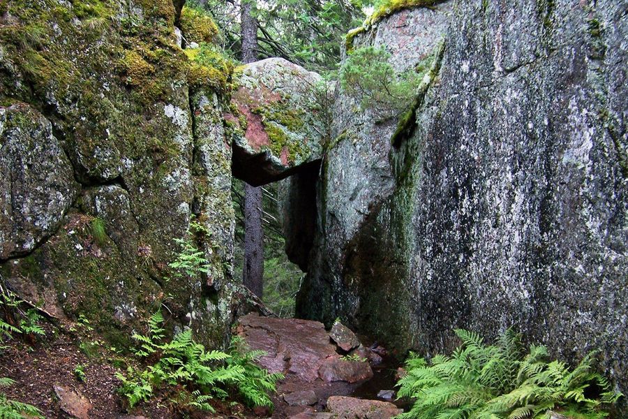 Dichte sparrenbossen komen samen met de rotsachtige kust van de Oostzee bij Nationaal Park Skuleskogen aan de Hoge Kust van Zweden, een van de beste natuurparken van Europa uit albelli's gids.