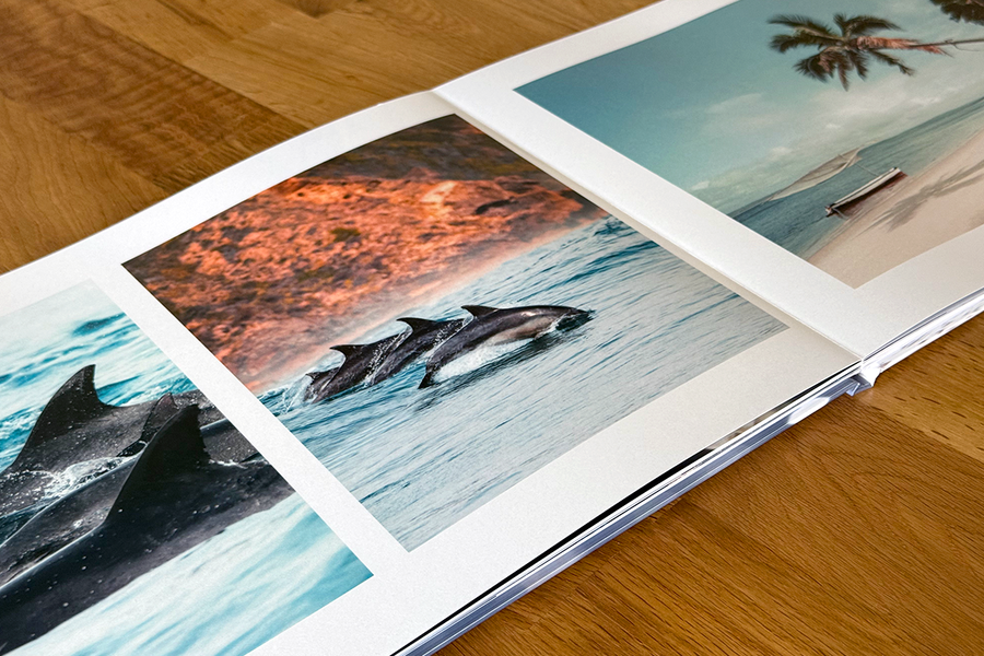 Een geopende spread uit het fotoboek van Charl van Rooy toont tropische beelden, waaronder zwemmende dolfijnen en een tropisch strandtafereel, ter illustratie van de visuele verhaallijn in zijn fotografieportfolio.