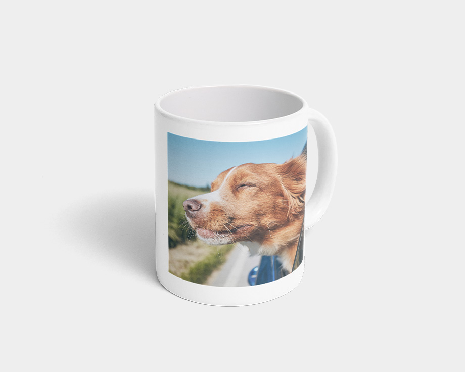 Een fotomok met een foto van een hond
