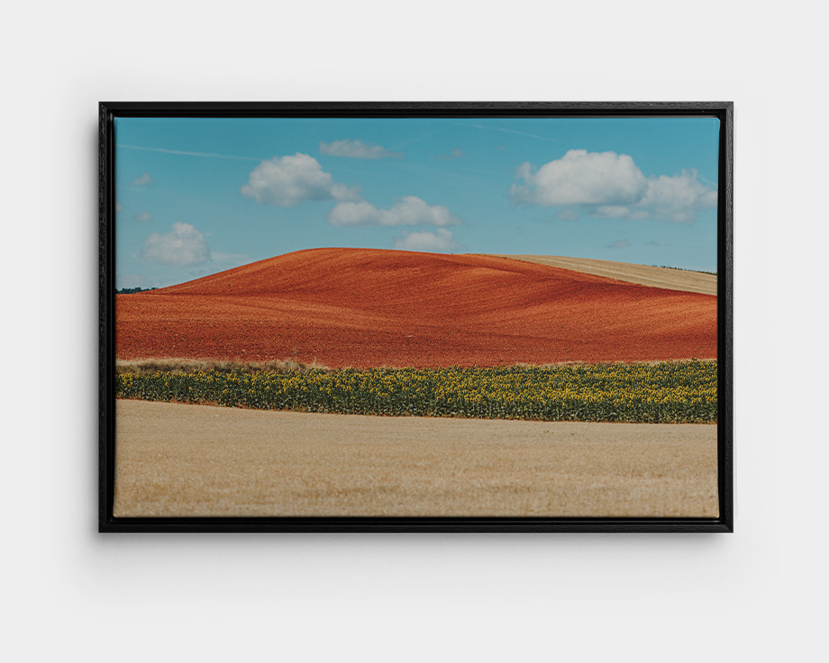 Een ingelijste foto op canvas van een zomers landschap