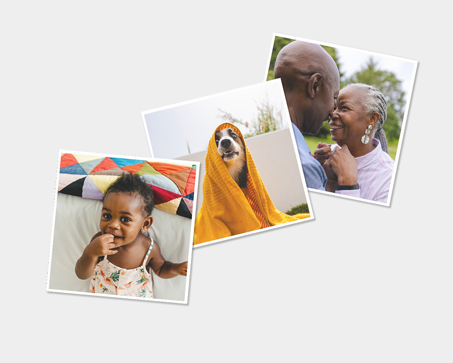 Drie magneten met foto's van de hond en het gezin