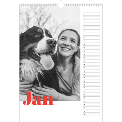 Verjaardagskalenders A3 — Een dikgedrukt jaar [Januari]