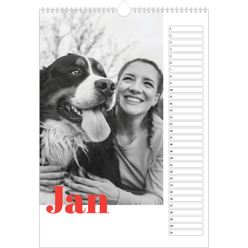 Fotokalender A3 — Een dikgedrukt jaar