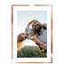 Fotokalender A5 — Verfkwast effect [omslag]