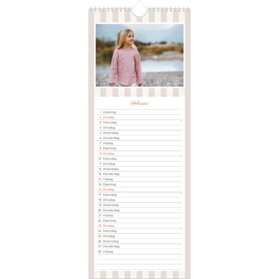 Smalle kalender  — Schrift en strepen [Februari]