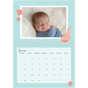 Fotokalender A4 Dubbel — Schattige dieren