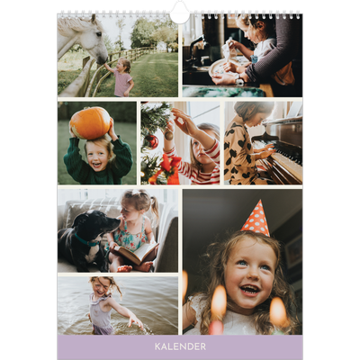 A3 Jaarkalender — Pastel hoofdstukken [omslag]
