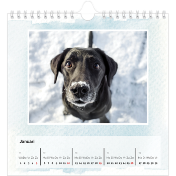 Fotokalender Vierkant — Aquarel achtergronden