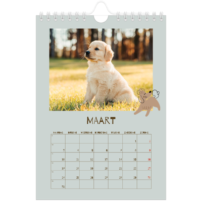 Fotokalender A5 — Speelse puppy [Maart]