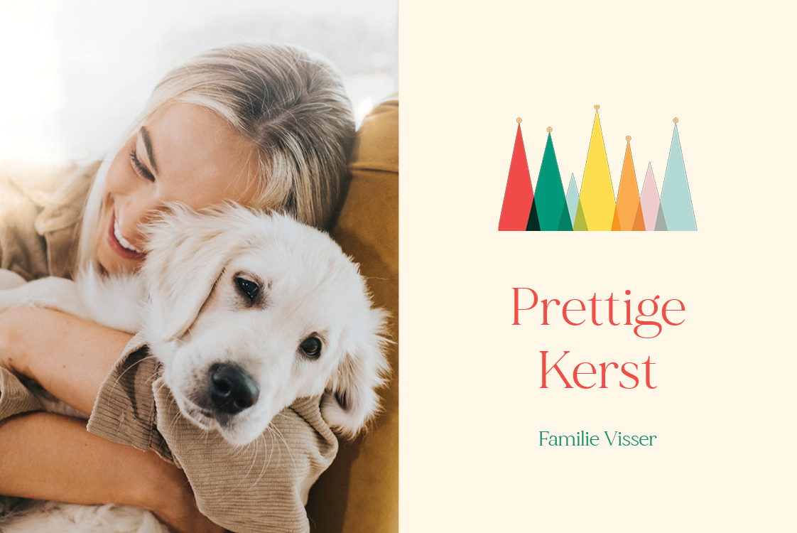 Fotokaarten — Kunstige kerstbomen