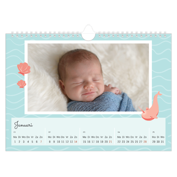 Fotokalender A4 — Schattige dieren