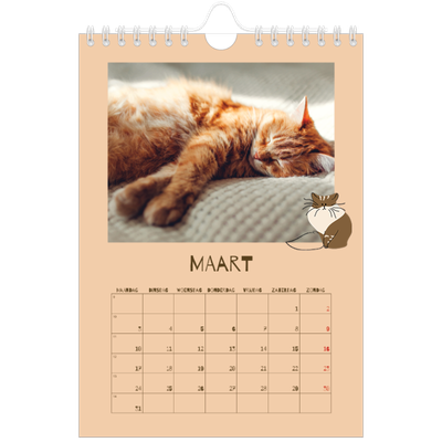Fotokalender A5 — Speelse kitten [Maart]