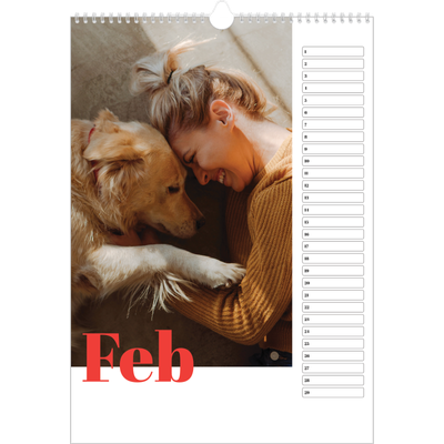 Verjaardagskalenders A3 — Een dikgedrukt jaar [Februari]