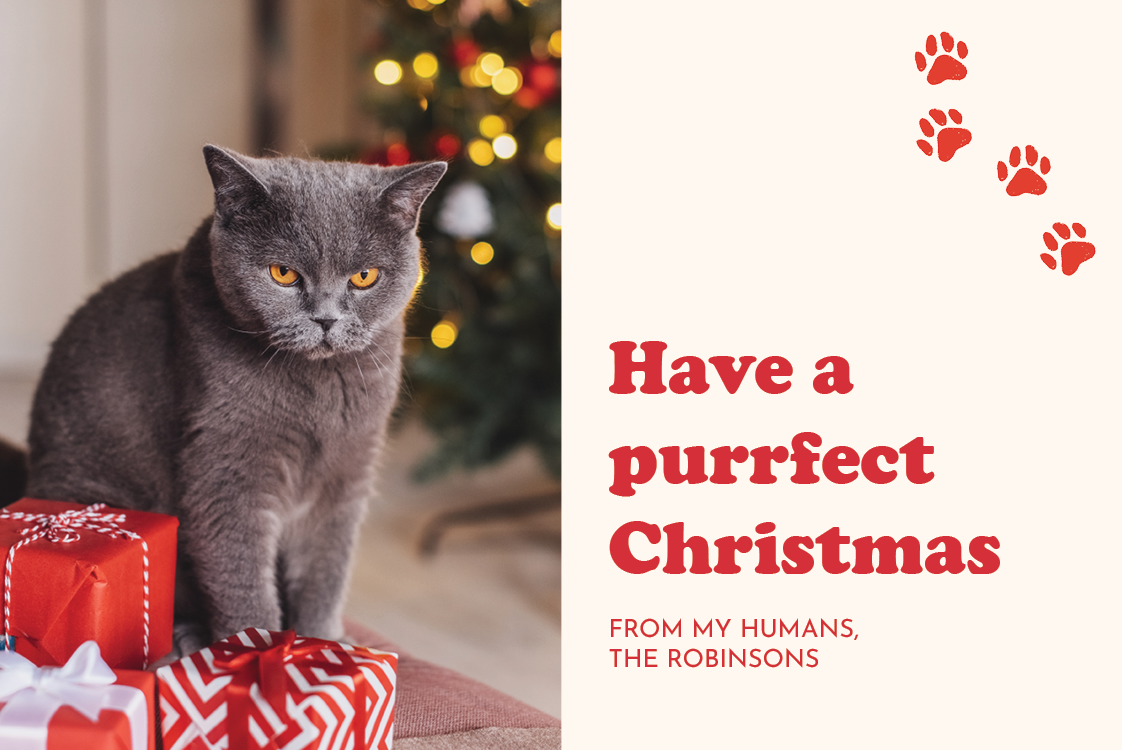 Fotokaarten — Purrfect Christmas