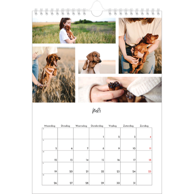 Fotokalender A4 (20 x 30 cm) — Foto arrangement [omslag]