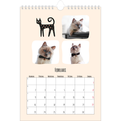 Fotokalender A4 (20 x 30 cm) — Kattenpoten en krabbels [Februari]