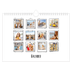 Fotokalender A4 — Plakboekmomenten [omslag]