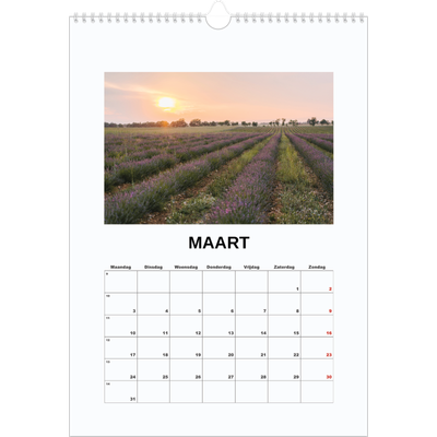 A3 Jaarkalender — Eenvoudige foto [Maart]