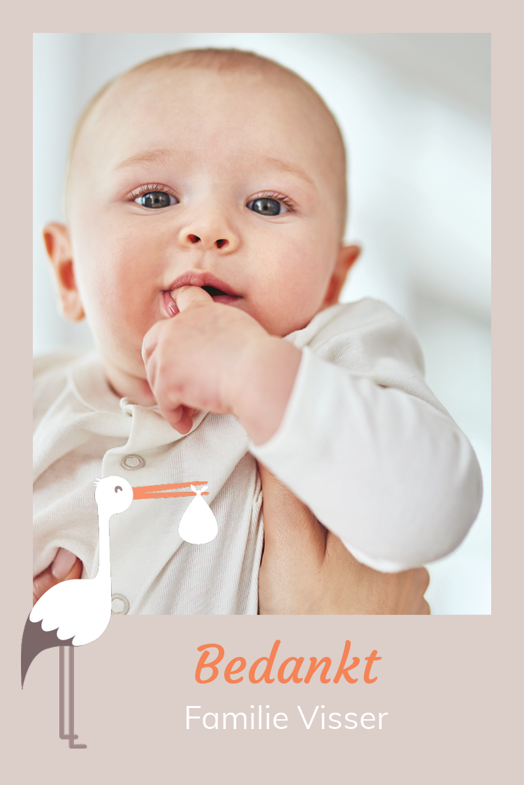 Bedankkaarten — Mijn vriend de ooievaar