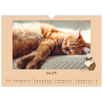 Fotokalender A3 — Speelse kitten [Maart]