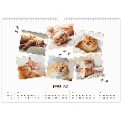 Fotokalender A3 — Speelse kitten [Februari]