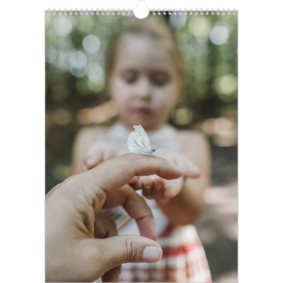 Verjaardagskalenders A3 — Twaalf grote maanden [omslag]