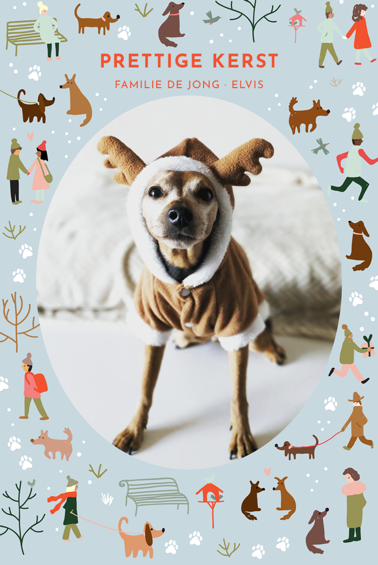 Fotokaarten — Kersthondje