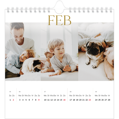 Jaarkalenders vierkant — Gouden tekst groot [Februari]