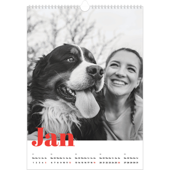 Fotokalender A3 — Een dikgedrukt jaar