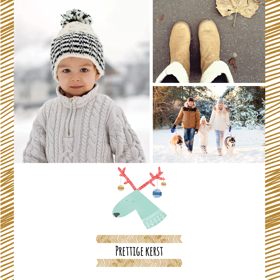 Fotokaarten — Speels rendier