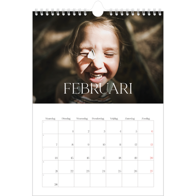 Fotokalender A4 (20 x 30 cm) — Twaalf grote maanden [Februari]