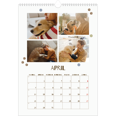 A3 Jaarkalender — Speelse puppy [April]