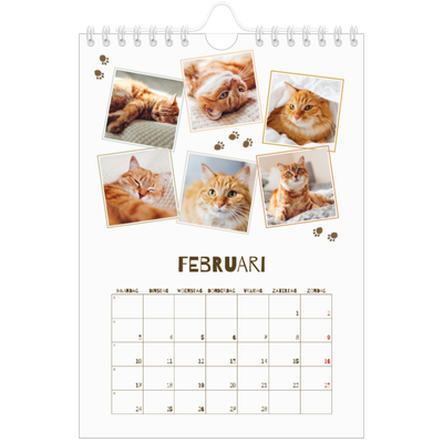 Fotokalender A5 — Speelse kitten [Februari]