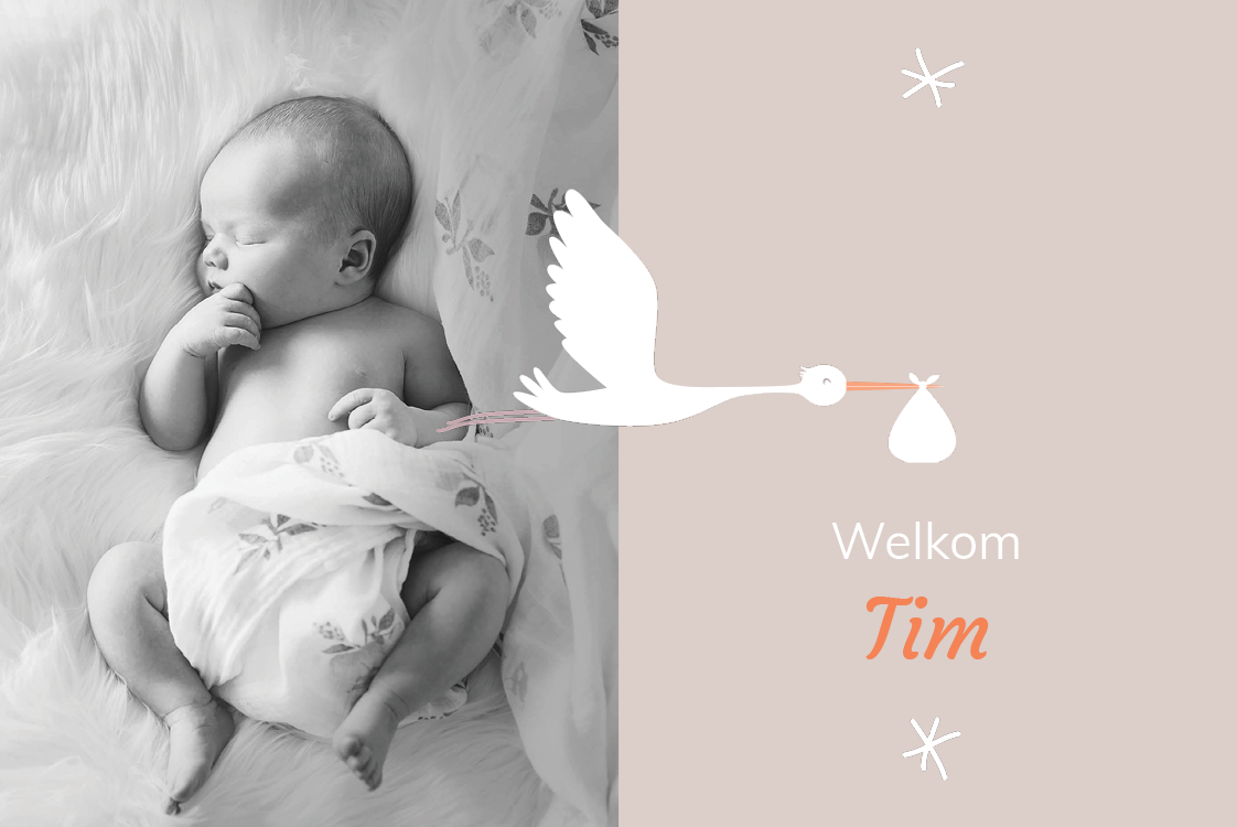 Uitnodigingen — Mijn vriend de ooievaar