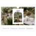 Fotokalender A4 — De open boog [Februari]