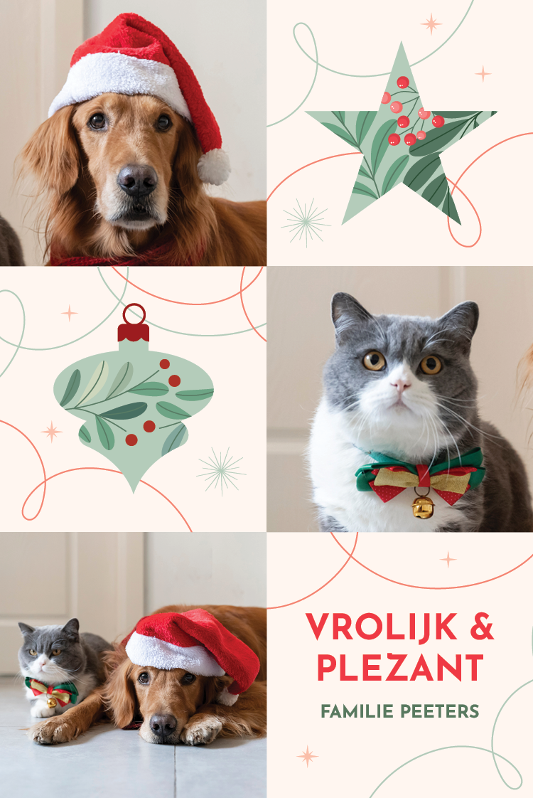 Fotokaarten — Feestelijke vormen - créme