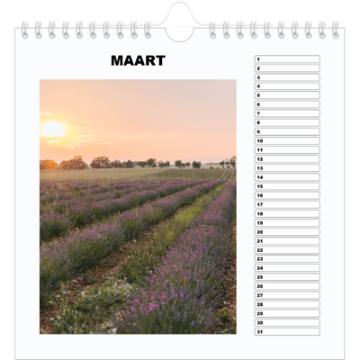 __breadcrumb.calendar_birthday_square.name — Eenvoudige foto [Maart]