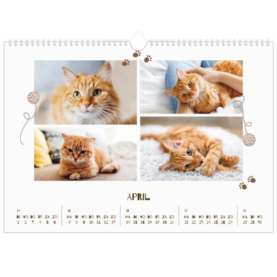 Fotokalender A3 — Speelse kitten [April]