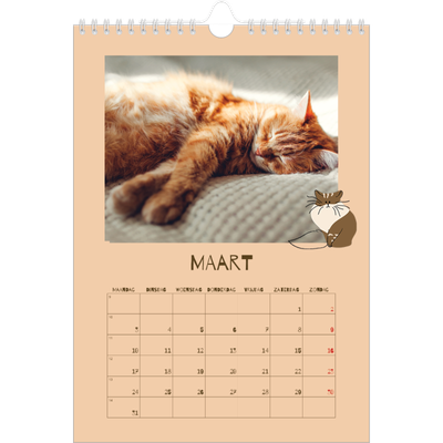 Fotokalender A4 (20 x 30 cm) — Speelse kitten [Maart]