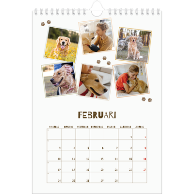 Fotokalender A4 (20 x 30 cm) — Speelse puppy [Februari]