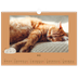 Fotokalender A3 — Speelse kitten [Mei]