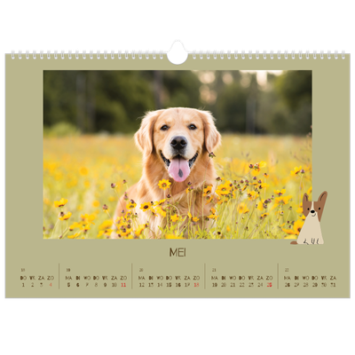 Fotokalender A3 — Speelse puppy [omslag]