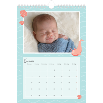 Fotokalender A4 — Schattige dieren