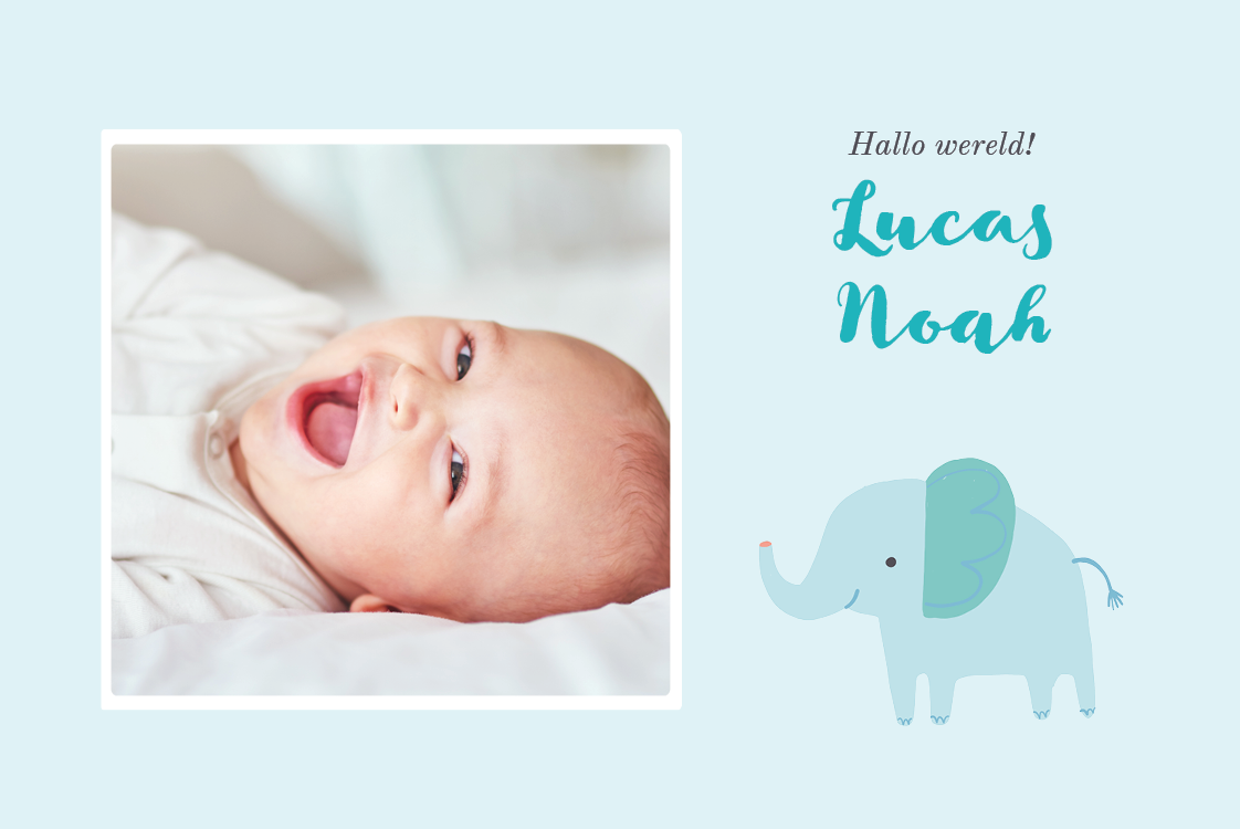 Uitnodigingen — Blauwe olifant