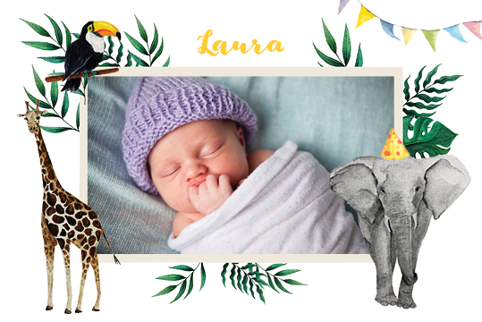 Uitnodigingen — Aquarel dieren