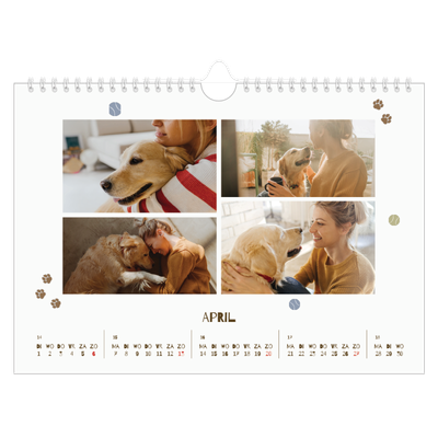 Fotokalender A4 — Speelse puppy [April]